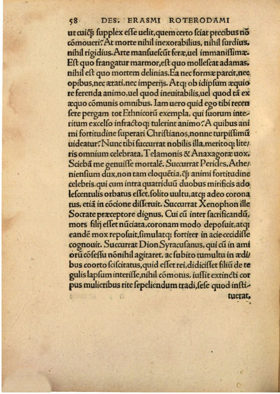 Querela Pacis Undique Gentium Eiectae Profligataeque