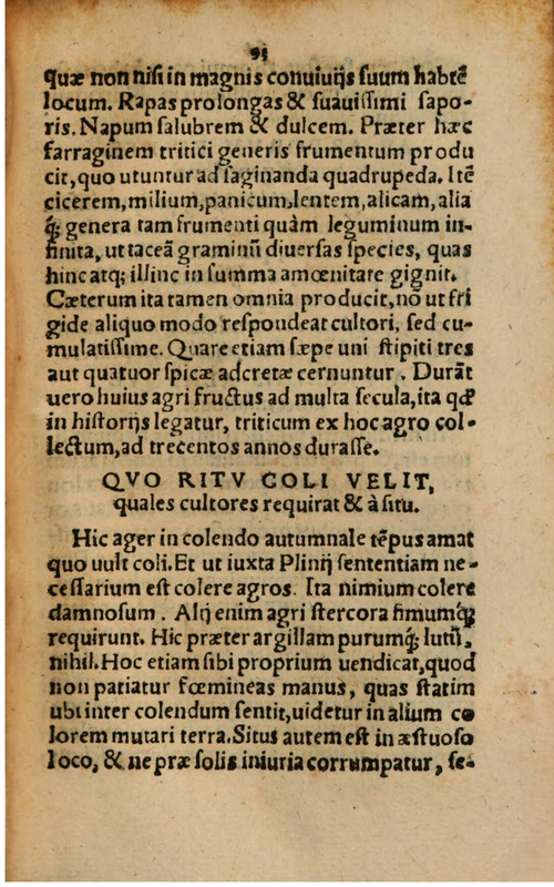 Rhetorica Plena ac referta exemplis