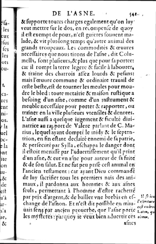 Declamation sur l'incertitude, vanité et abus des sciences