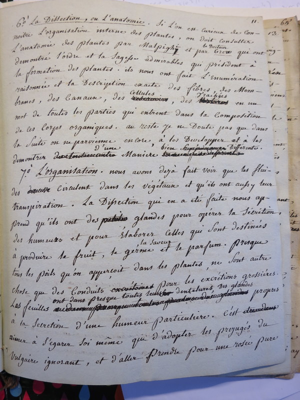 Traduction botanique; anon.; n.d. Traduction botanique; anon.; n.d.