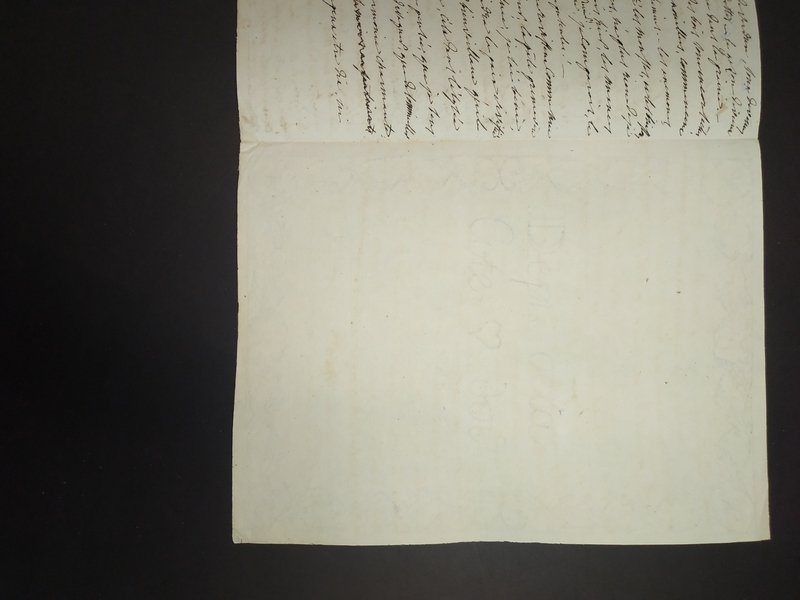 J'ai à décrire une anémone, qui, s'y j'en crois Lamarck, ne se trouve que dans nos jardins et qui cependant… J'ai à décrire une anémone, qui, s'y j'en crois Lamarck, ne se trouve que dans nos jardins et qui cependant…