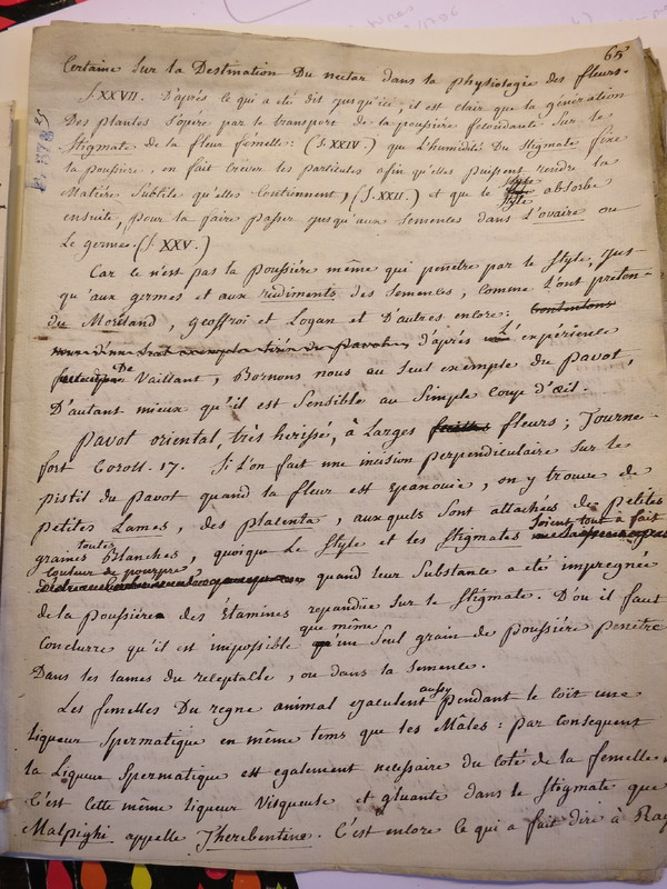 Traduction botanique; anon.; n.d. Traduction botanique; anon.; n.d.