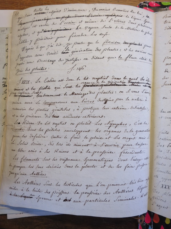 Traduction botanique; anon.; n.d. Traduction botanique; anon.; n.d.