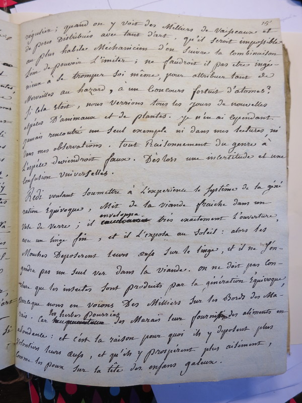 Traduction botanique; anon.; n.d. Traduction botanique; anon.; n.d.