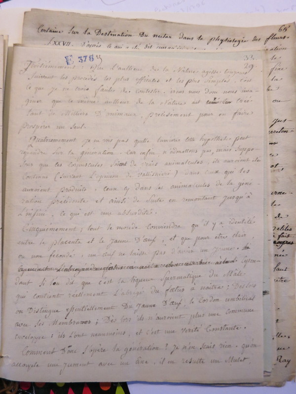 Traduction botanique; anon.; n.d. Traduction botanique; anon.; n.d.