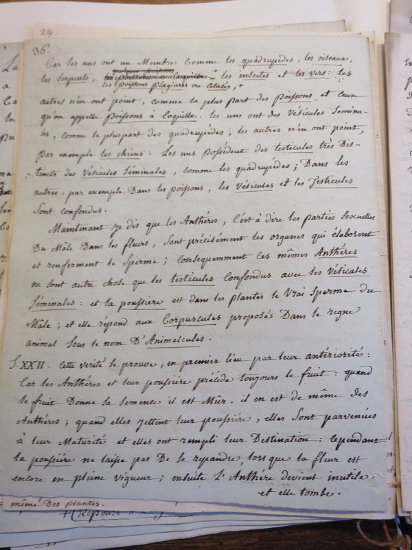 Traduction botanique; anon.; n.d. Traduction botanique; anon.; n.d.