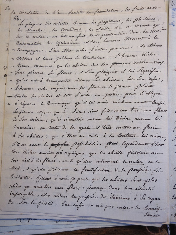 Traduction botanique; anon.; n.d. Traduction botanique; anon.; n.d.