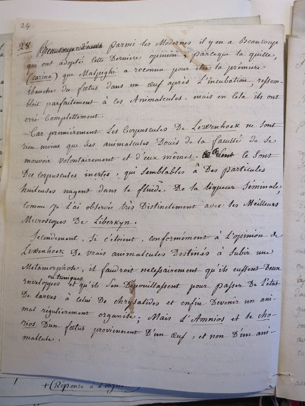 Traduction botanique; anon.; n.d. Traduction botanique; anon.; n.d.