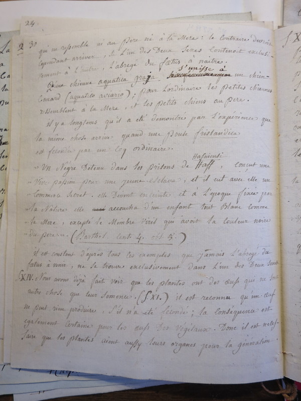 Traduction botanique; anon.; n.d. Traduction botanique; anon.; n.d.