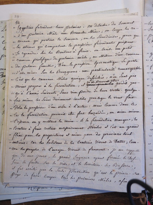 Traduction botanique; anon.; n.d. Traduction botanique; anon.; n.d.