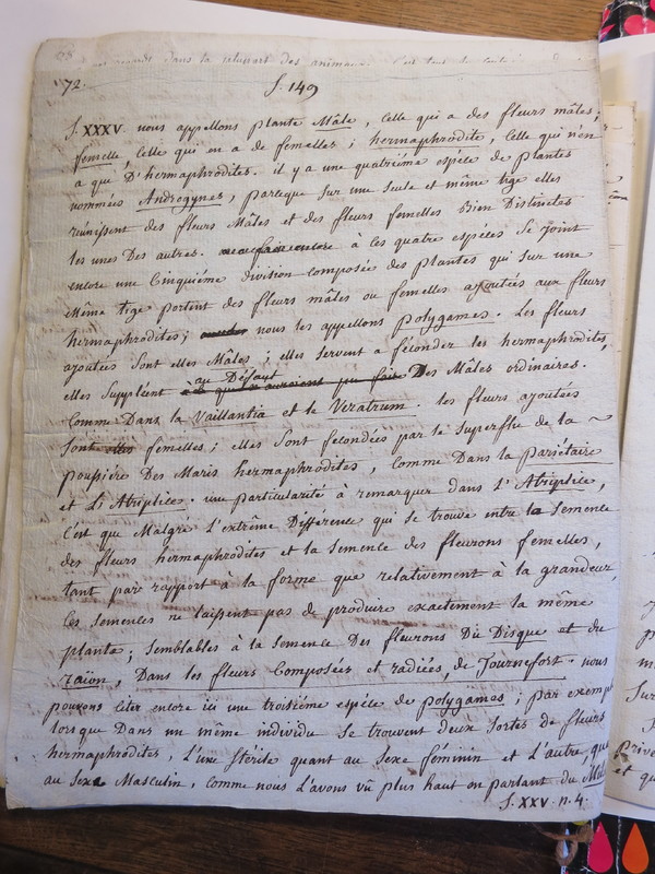 Traduction botanique; anon.; n.d. Traduction botanique; anon.; n.d.