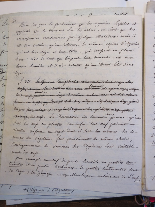 Traduction botanique; anon.; n.d. Traduction botanique; anon.; n.d.