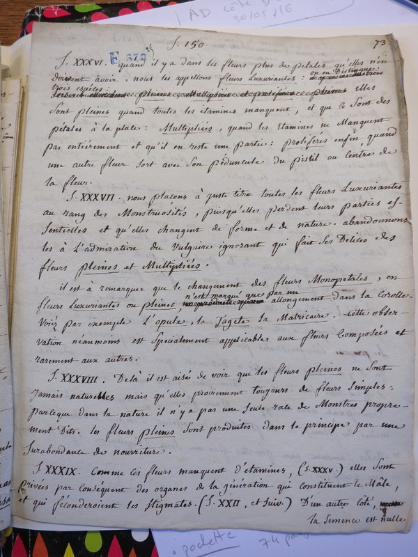 Traduction botanique; anon.; n.d. Traduction botanique; anon.; n.d.