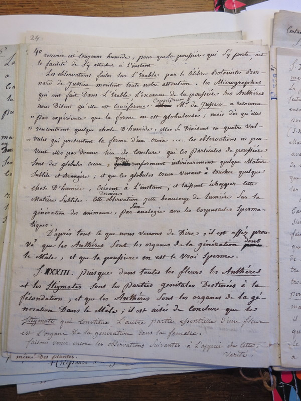Traduction botanique; anon.; n.d. Traduction botanique; anon.; n.d.