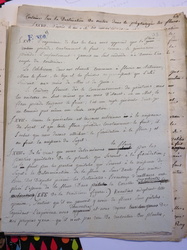 Traduction botanique; anon.; n.d. Traduction botanique; anon.; n.d.