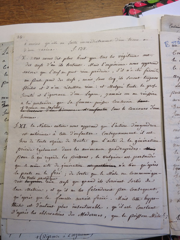 Traduction botanique; anon.; n.d. Traduction botanique; anon.; n.d.