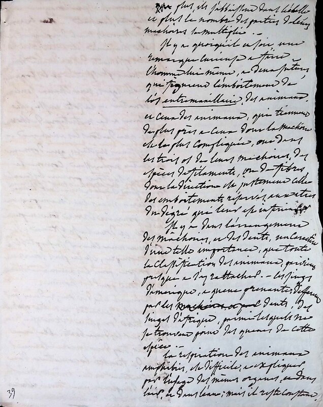 FRADCO_ESUP378_25_Humboldt_0283.jpg FRADCO_ESUP378_25_Humboldt_0283.jpg