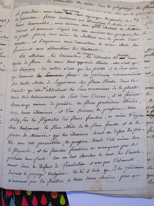 Traduction botanique; anon.; n.d. Traduction botanique; anon.; n.d.