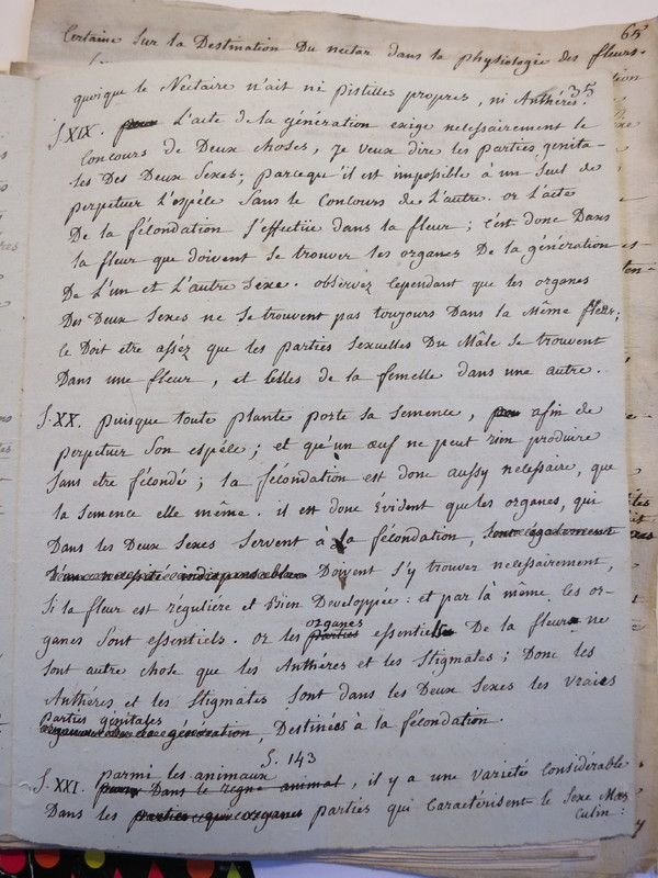 Traduction botanique; anon.; n.d. Traduction botanique; anon.; n.d.