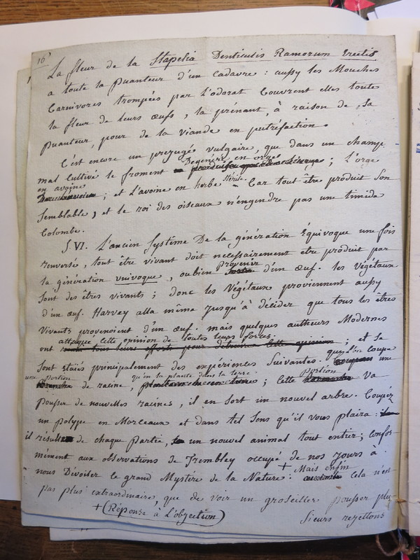 Traduction botanique; anon.; n.d. Traduction botanique; anon.; n.d.