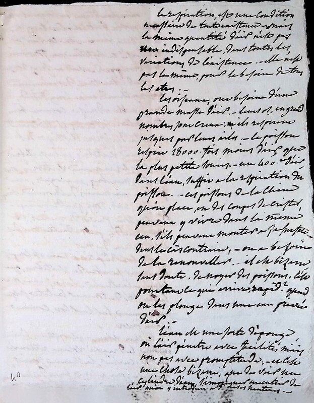 FRADCO_ESUP378_25_Humboldt_0291.jpg FRADCO_ESUP378_25_Humboldt_0291.jpg