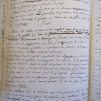 Traduction botanique; anon.; n.d.
