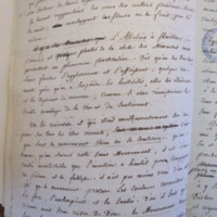 Traduction botanique; anon.; n.d.