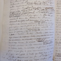 Traduction botanique; anon.; n.d.