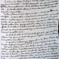 Les oiseaux qui chantent autour de ma fenêtre