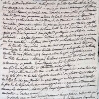 Les oiseaux qui chantent autour de ma fenêtre