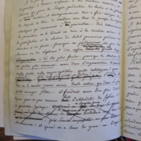 Traduction botanique; anon.; n.d.