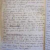 Traduction botanique; anon.; n.d.