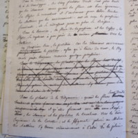 Traduction botanique; anon.; n.d.
