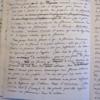 Traduction botanique; anon.; n.d.