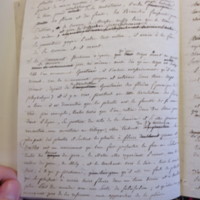 Traduction botanique; anon.; n.d.