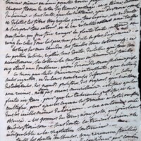 Il y a longtemps que je réfléchis à l&#039;organisation des plantes