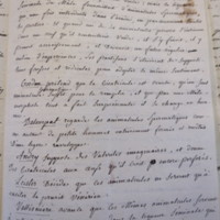 Traduction botanique; anon.; n.d.