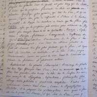 Traduction botanique; anon.; n.d.