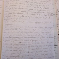 Traduction botanique; anon.; n.d.