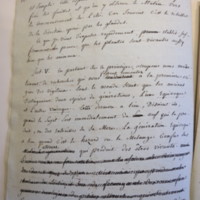 Traduction botanique; anon.; n.d.