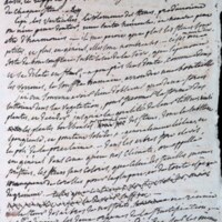 Il y a longtemps que je réfléchis à l&#039;organisation des plantes