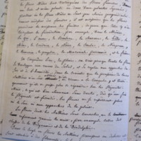 Traduction botanique; anon.; n.d.