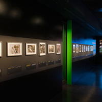 [Vue de la salle principale exposition Tournages. Paris-Berlin - Photographie Stéphane Dabrowski]