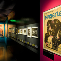 [Vue d'une section montrant des affiches exposition Tournages. Paris-Berlin - Photographie Stéphane Dabrowski]