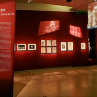 [Introduction à la partie "Le corps expressionniste" de l'exposition Le cinéma expressionniste allemand (Paris) - Photographie Stéphane Dabrowski]