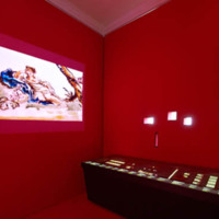 [Ilot avec vitrine tabulaire avec plaques rétroéclairées exposition Laterna magica e filmo dipinto - Photographie Stéphane Dabrowski]