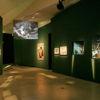 [Partie "Nature" de l'exposition Le cinéma expressionniste allemand (Paris) - Photographie Stéphane Dabrowski]