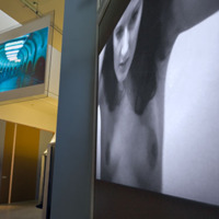 [Ecrans suspendus en hauteur exposition Brune/Blonde - Photographie Stéphane Dabrowski]