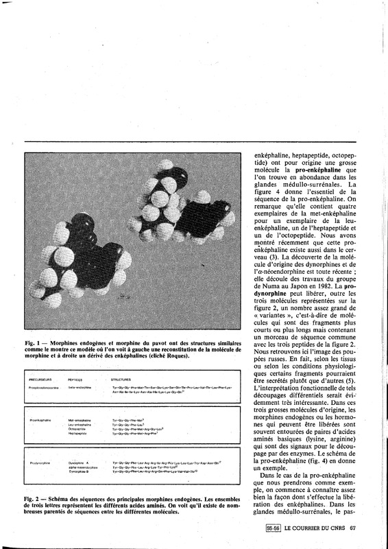courrier cnrs 55-56_Page_63.jpg courrier cnrs 55-56_Page_63.jpg