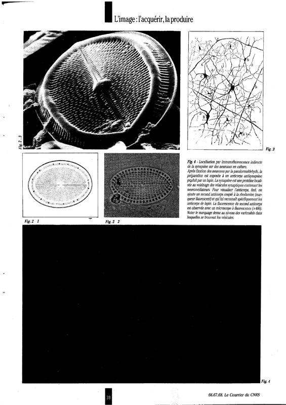 courrier cnrs 66-67-68_Page_041.jpg courrier cnrs 66-67-68_Page_041.jpg
